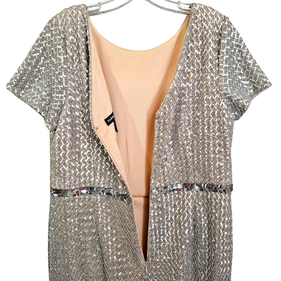 Nwot Adrianna Pappel Shortsleeve Silver Sequin Luxe Mesh/Tan Column Form… - Picture 14 of 17